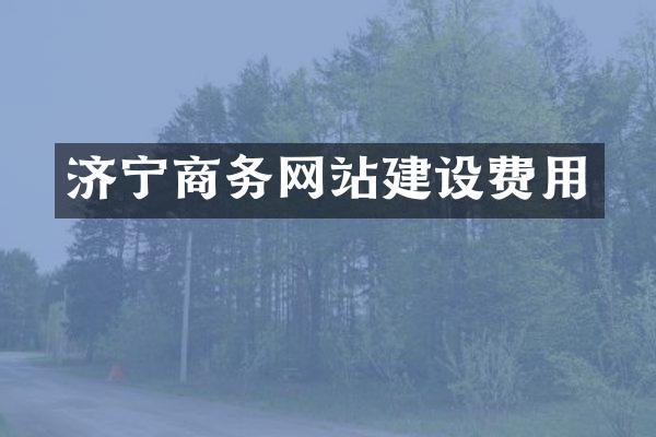 济宁商务网站建设费用