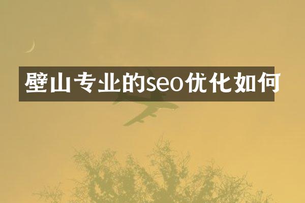 壁山专业的seo优化如何
