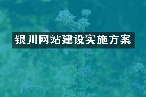 银川网站建设实施方案