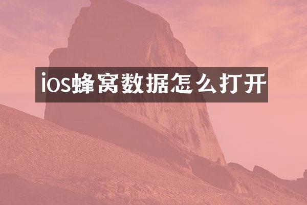 ios蜂窝数据怎么打开