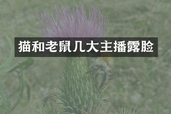猫和老鼠几大主播露脸