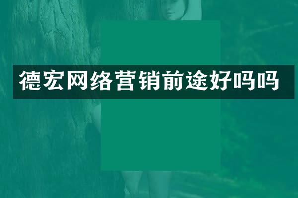 德宏网络营销前途好吗吗