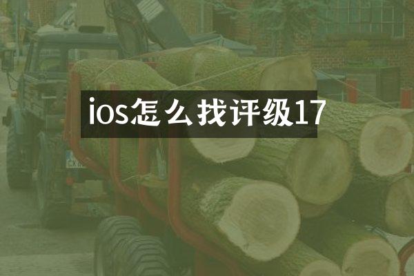 ios怎么找评级17