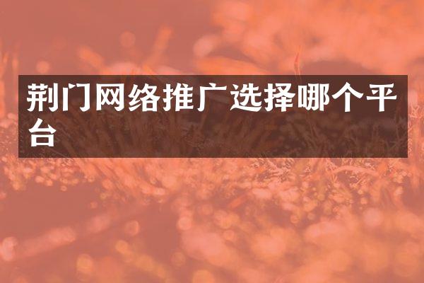 荆门网络推广选择哪个平台