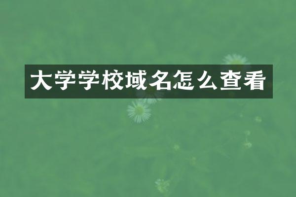 大学学校域名怎么查看