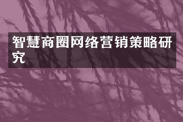 智慧商圈网络营销策略研究