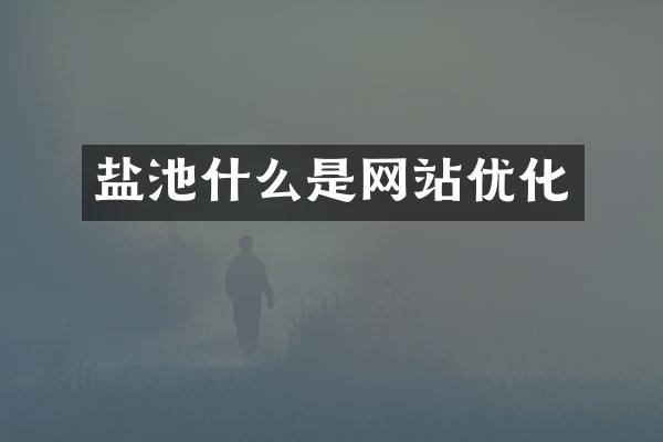 盐池什么是网站优化