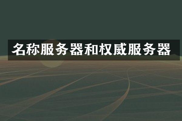 名称服务器和权威服务器