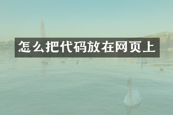 怎么把代码放在网页上