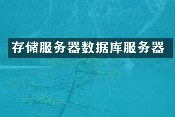存储服务器数据库服务器