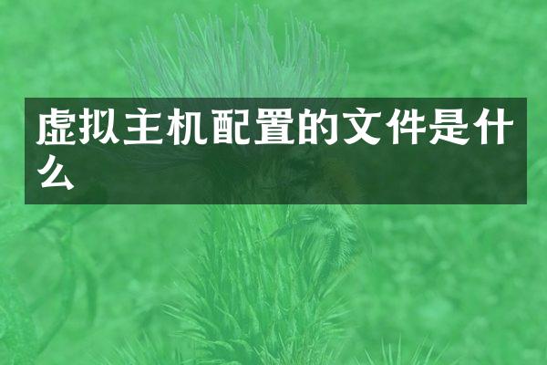 虚拟主机配置的文件是什么