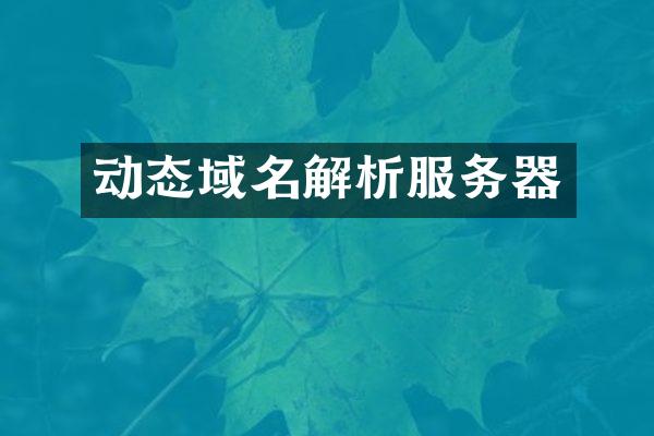 动态域名解析服务器