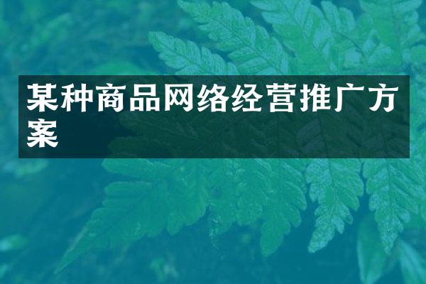 某种商品网络经营推广方案