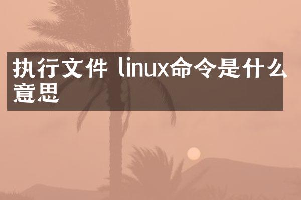 执行文件 linux命令是什么意思