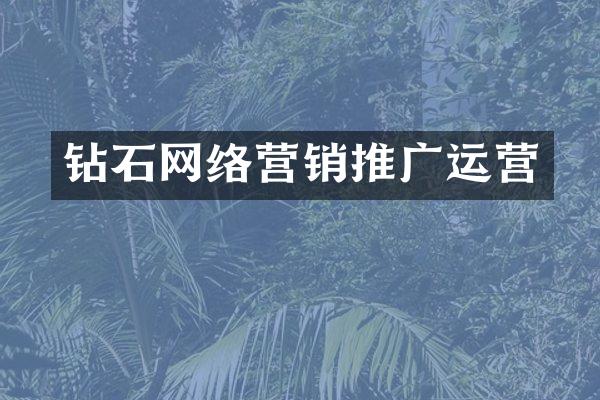 钻石网络营销推广运营