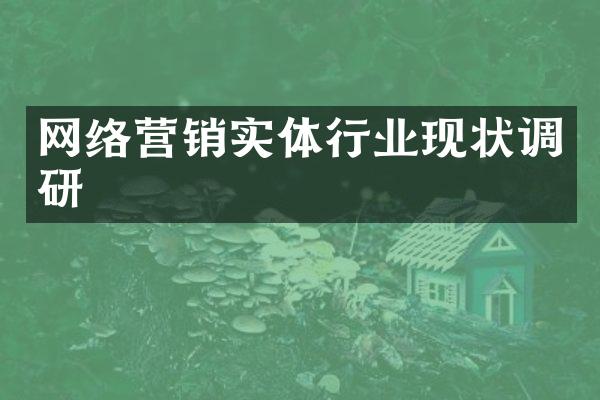网络营销实体行业现状调研
