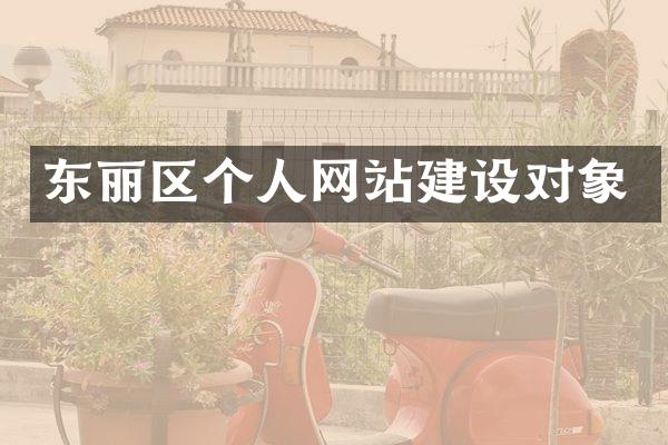 东丽区个人网站建设对象