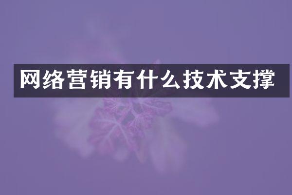 网络营销有什么技术支撑