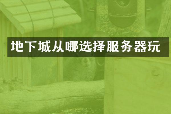 地下城从哪选择服务器玩