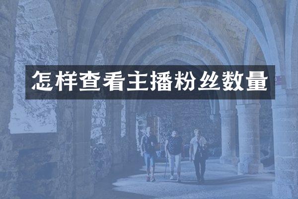 怎样查看主播粉丝数量