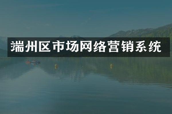 端州区市场网络营销系统