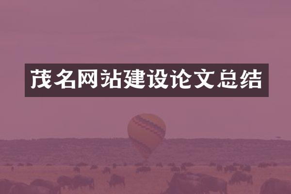 茂名网站建设论文总结
