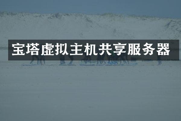 宝塔虚拟主机共享服务器