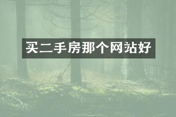 买二手房那个网站好