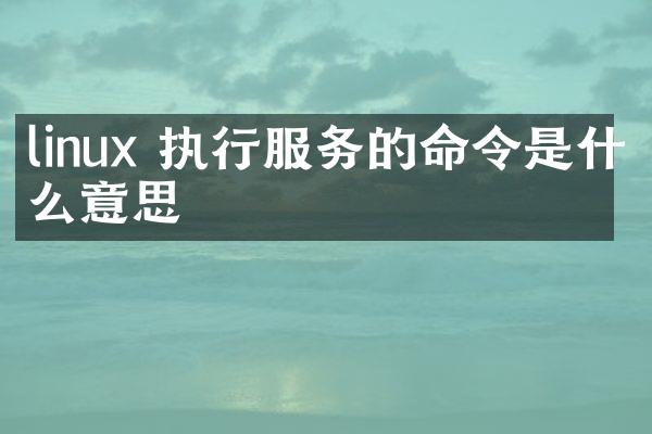 linux 执行服务的命令是什么意思