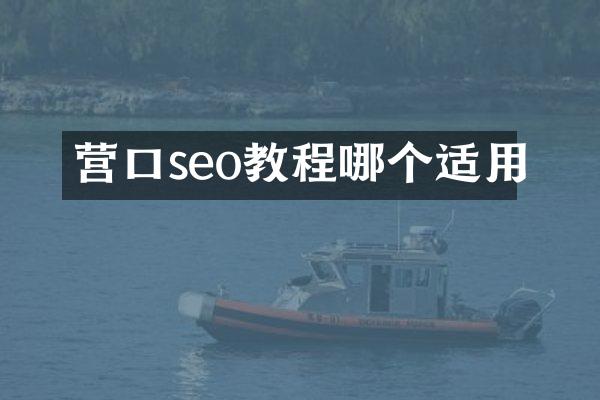 营口seo教程哪个适用