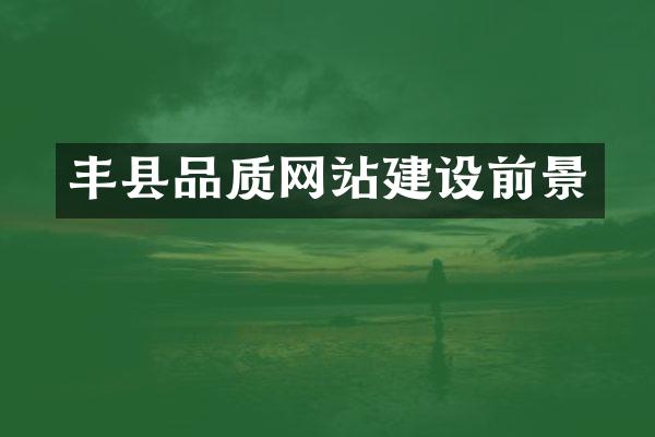 丰县品质网站建设前景