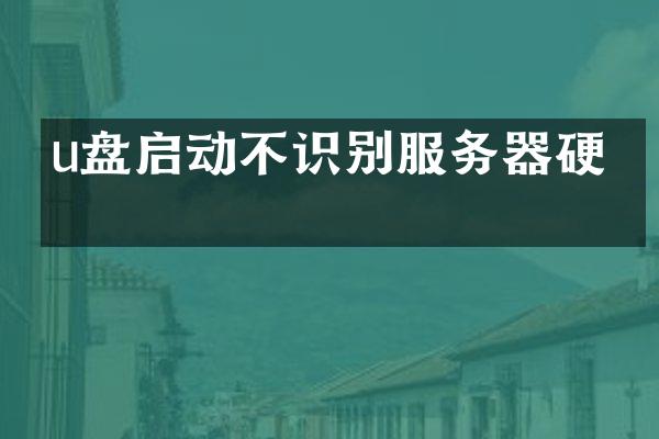 u盘启动不识别服务器硬盘