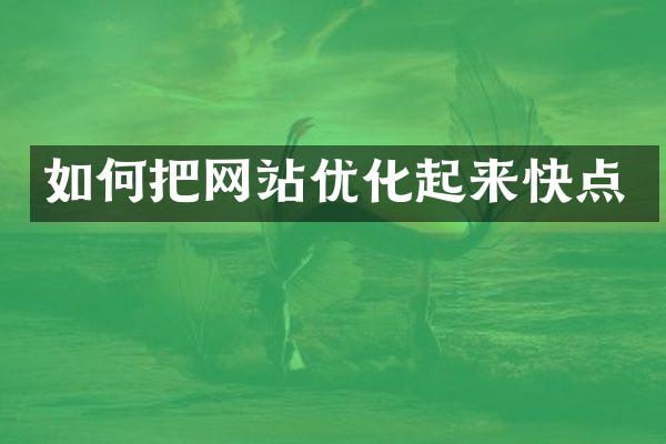 如何把网站优化起来快点