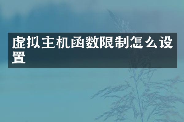 虚拟主机函数限制怎么设置