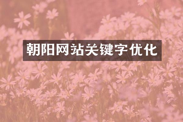 朝阳网站关键字优化