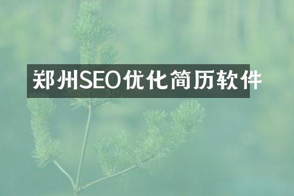 郑州SEO优化简历软件