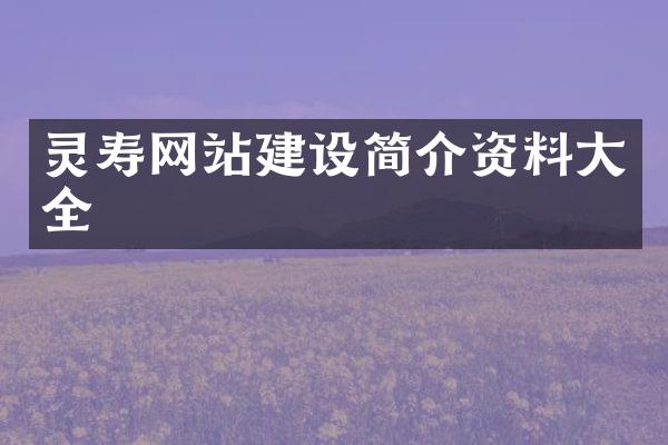 灵寿网站建设简介资料大全