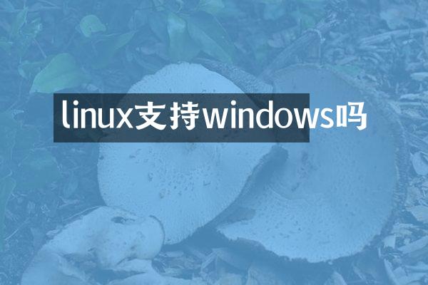 linux支持windows吗