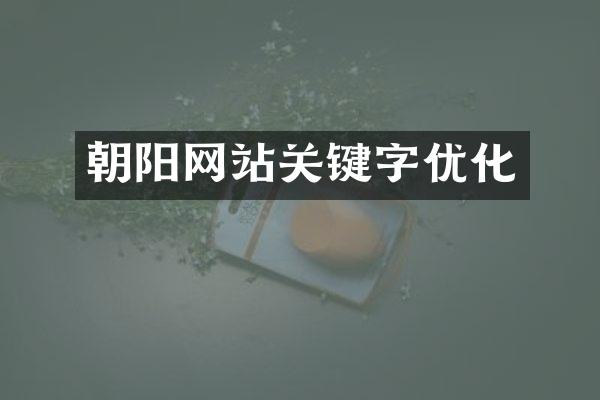 朝阳网站关键字优化