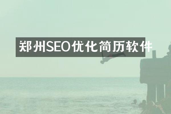 郑州SEO优化简历软件