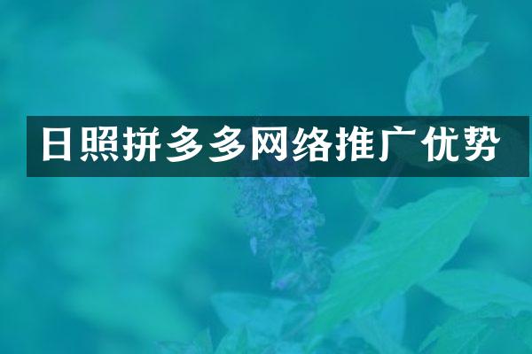 日照拼多多网络推广优势