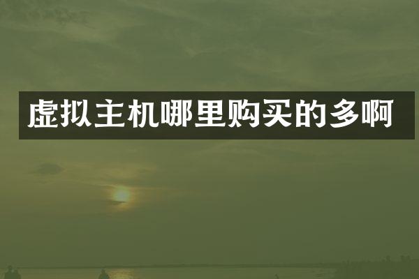 虚拟主机哪里购买的多啊