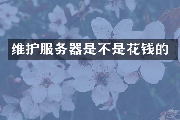 维护服务器是不是花钱的