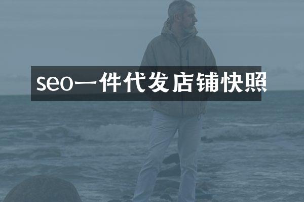 seo一件代发店铺快照