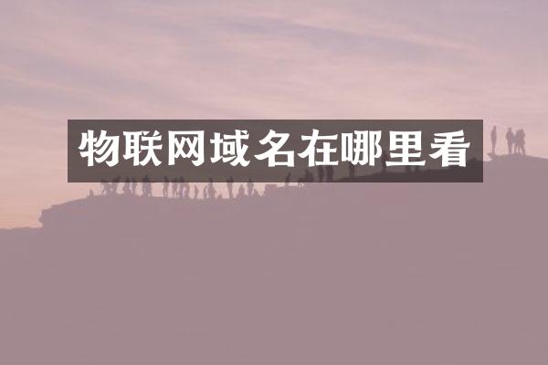物联网域名在哪里看