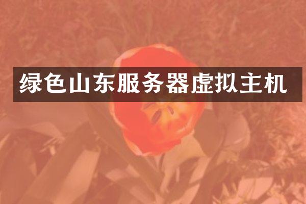 绿色山东服务器虚拟主机