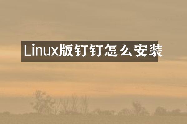 Linux版钉钉怎么安装
