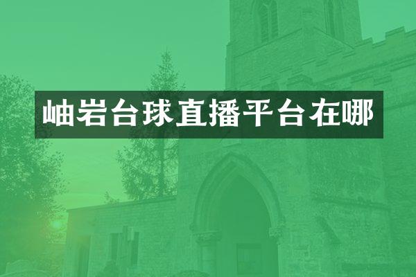 岫岩台球直播平台在哪