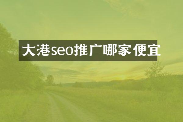 大港seo推广哪家便宜