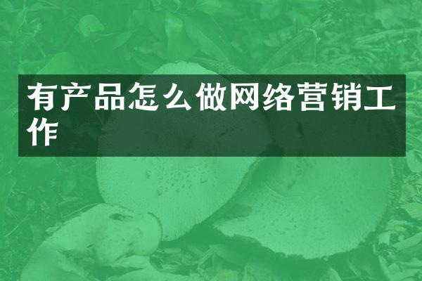 有产品怎么做网络营销工作